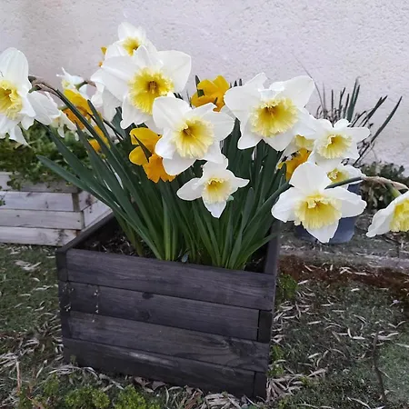 La Cija Del Abuelo A 1 Hora De Madrid * Segovia