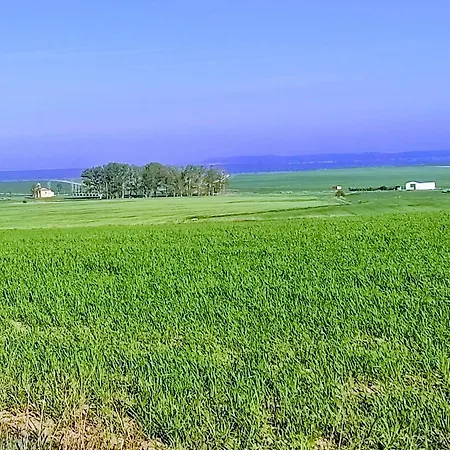 Venkovský dům La Cija Del Abuelo A 1 Hora De Madrid *
