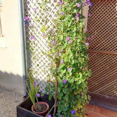 La Cija Del Abuelo A 1 Hora De Madrid Landhuis