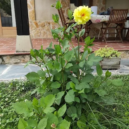 Landhuis La Cija Del Abuelo A 1 Hora De Madrid *