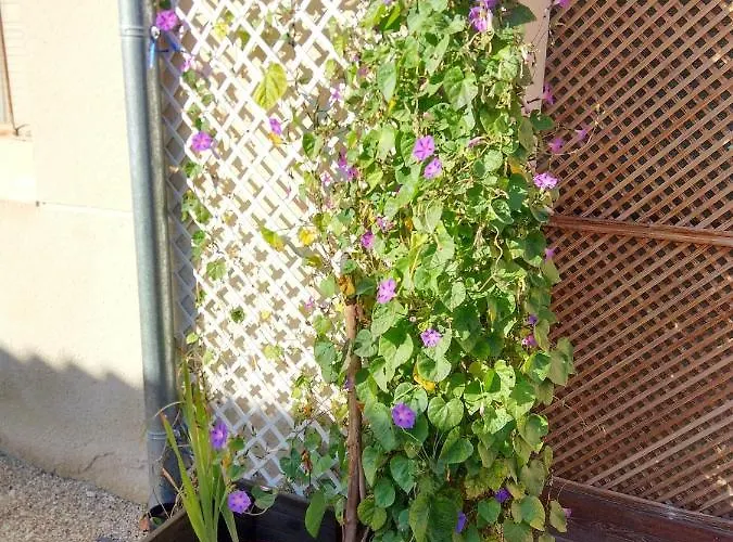 La Cija Del Abuelo A 1 Hora De Madrid Hétvégi ház