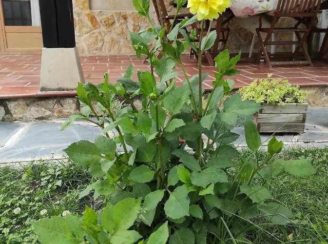 Hétvégi ház La Cija Del Abuelo A 1 Hora De Madrid *